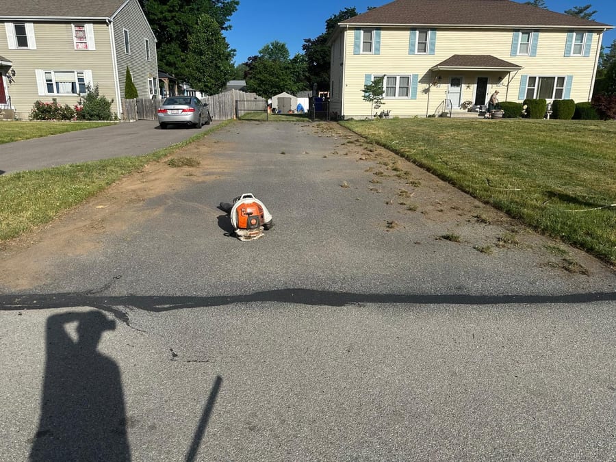 Driveway before cleaning with weeds and debris along the edges