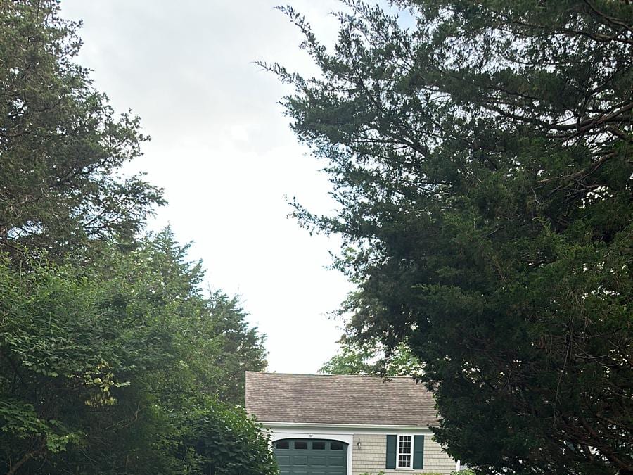 Tree-lined driveway freshly sealed in front of a garage